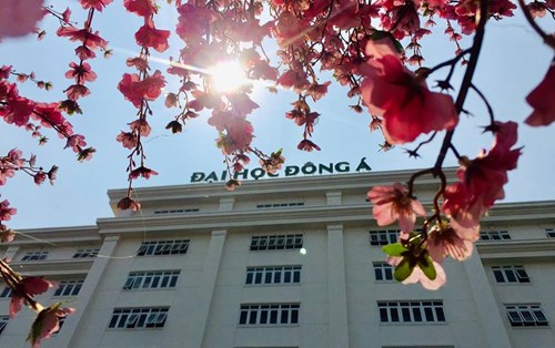 Lịch thi tuyển sinh liên thông, VHVL