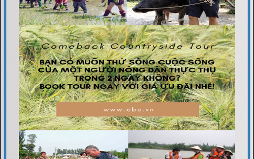 Dự án của sinh viên Khoa Quản trị - Đại học Đông Á vào Chung kết toàn quốc SV.STARTUP - 2019