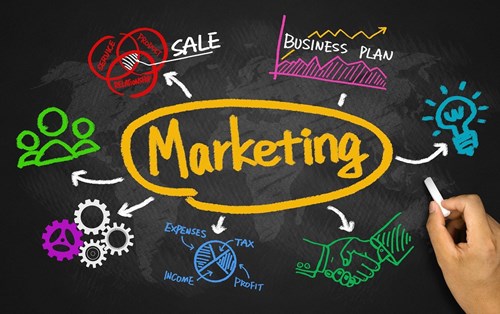 What opportunities are available for Bachelor of Marketing