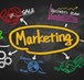 What opportunities are available for Bachelor of Marketing