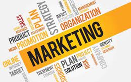 Bật mí các website học tiếng anh chuyên ngành Marketing hiệu quả nhất