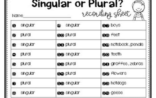 Singular and Plural Nouns