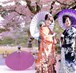 Things to pay attention to when communicating with Japanese