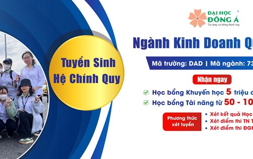 Khám phá Ngành Kinh Doanh Quốc Tế tại Đại học Đông Á - Xây dựng tương lai với cơ hội đỉnh cao